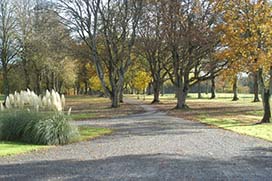 Autumn in Coolcarrigan Gardens