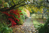 Garden Path at Coolcarrigan
