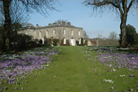 Spring in Coolcarrigan Gardens