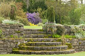 Spring in Coolcarrigan Gardens