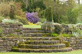 Spring in Coolcarrigan Gardens