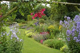 Summer in Coolcarrigan Gardens