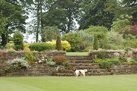 Summer in Coolcarrigan Gardens