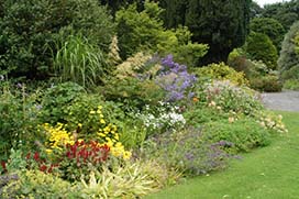 Summer in Coolcarrigan Gardens