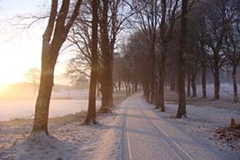 Winter in Coolcarrigan Gardens